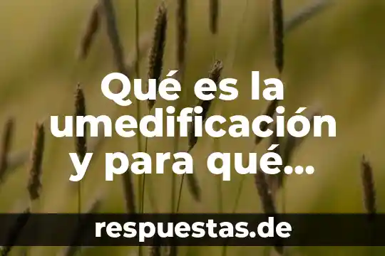 ¿Qué es un pintro y para que sirve? 4 Qué es la umedificación y para qué sirve industria