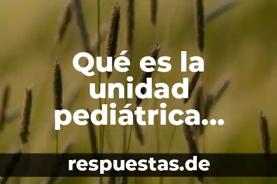 Qué es la unidad pediátrica concepto