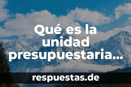 Qué es la unidad presupuestaria definición