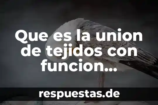 Cultura especifica que es 7 Que es la union de tejidos con funcion especifica