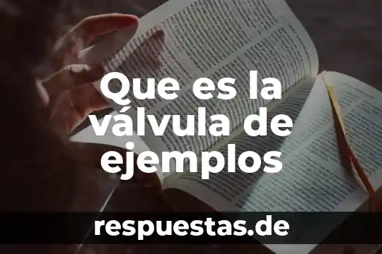 Que es una sociedad ejemplos 7 Que es la válvula de ejemplos