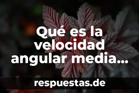 Que es la hipótesis sobre una media poblacional 4 Qué es la velocidad angular media en física
