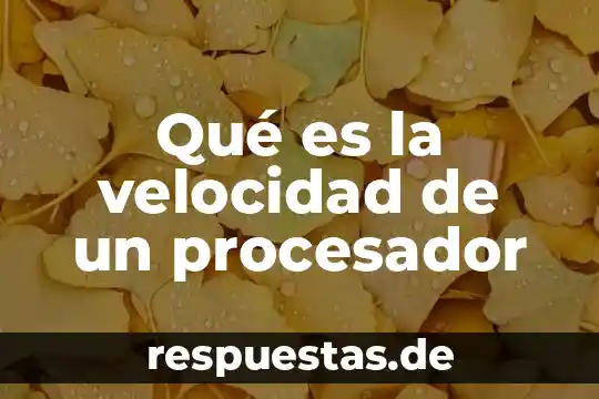 Que es velocidad y rapidez fisica 8 Qué es la velocidad de un procesador
