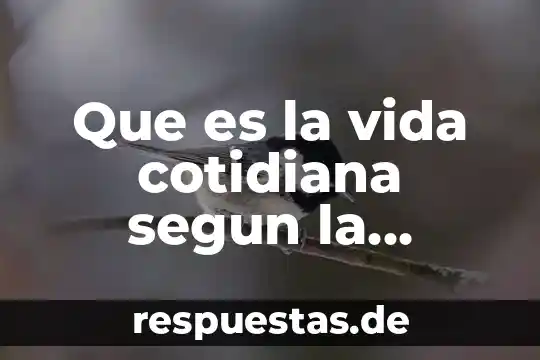 Vida cotidiana definición 6 Que es la vida cotidiana segun la sociologia