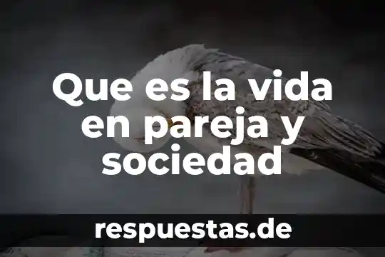 Qué es duración de la sociedad 4 Que es la vida en pareja y sociedad