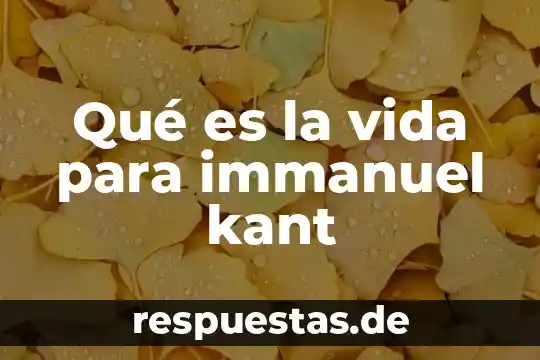 Según Kant que es una paradoja 4 Qué es la vida para immanuel kant