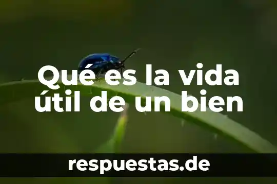 Que es el arte en la vida saludable 8 Qué es la vida útil de un bien