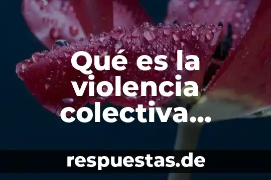 Qué es la violencia colectiva resumen