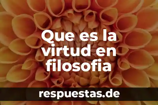 Que es la virtud en filosofia