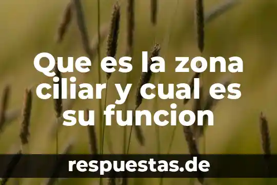 Que es una antologia y cual mes su funcion 6 Que es la zona ciliar y cual es su funcion