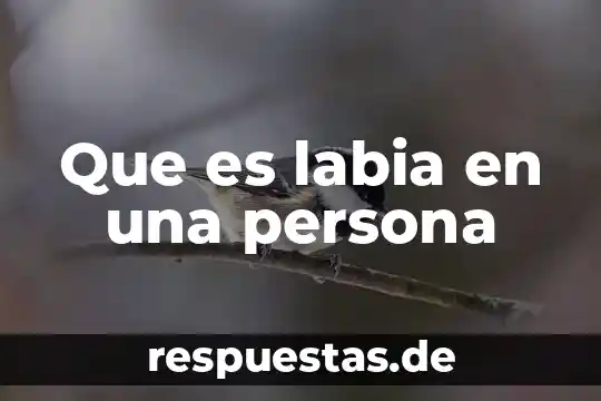 Que es labia en una persona