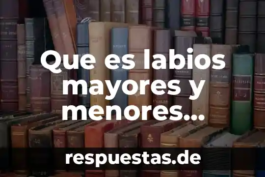 Aftas en los labios insuficiencia de que es 3 Que es labios mayores y menores integros