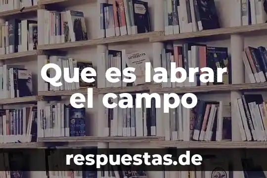 Que es un campo semantico y sus caracteristicas 6 Que es labrar el campo