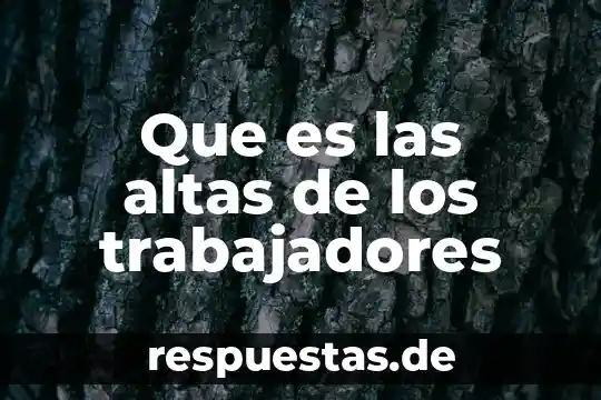 Qué es aracnidos significado 7 Que es las altas de los trabajadores
