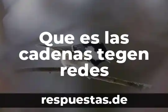 Que es temperatura en quimica en termodinamica 7 Que es las cadenas tegen redes