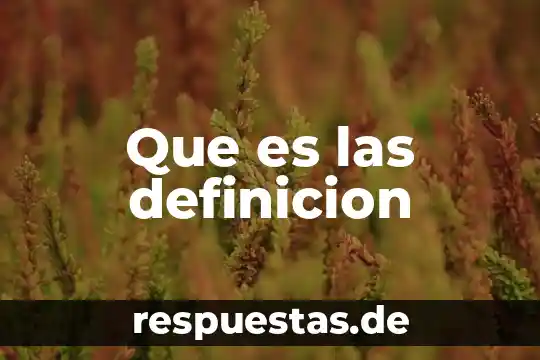 Que es las definicion