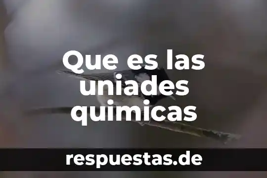 Que es un recipientes para muestras quimicas 5 Que es las uniades quimicas