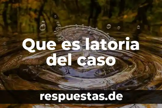 Que es caso de duelo 6 Que es latoria del caso