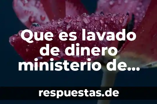 Qué es ser agente del ministerio público 4 Que es lavado de dinero ministerio de relaciones