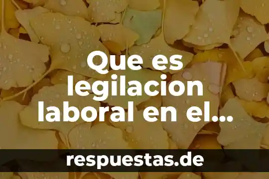 Que es legilacion laboral en el entorno politico