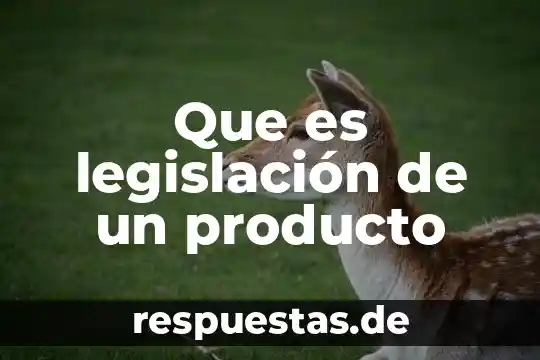 Que es un servicio y que es un producto 4 Que es legislación de un producto