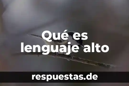 Que es el alto y bajo egipto literatura 7 Qué es lenguaje alto