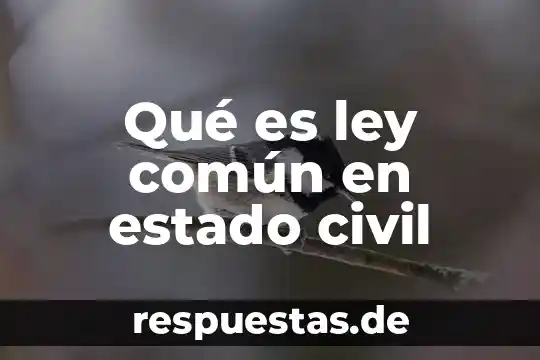 Qué es lógica proposicional 4 Qué es ley común en estado civil