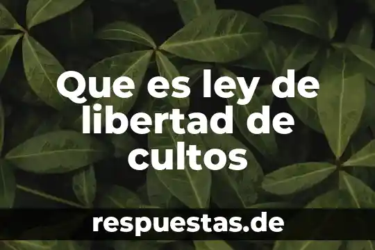 Que es un resumen y sus artes 4 Que es ley de libertad de cultos