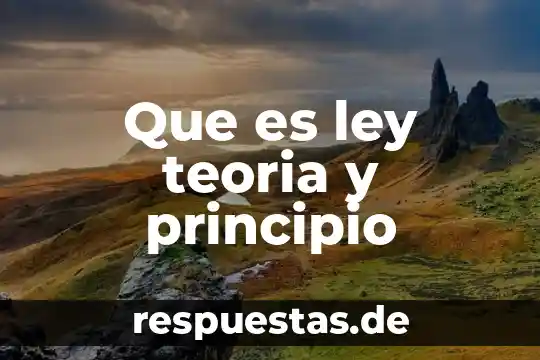 Que es un principio y que es una ley 5 Que es ley teoria y principio