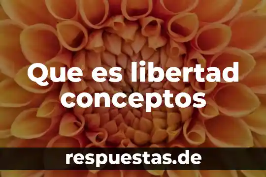 Que es libertad conceptos