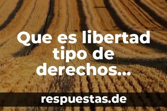 Que es libertad tipo de derechos tenemos los humanos