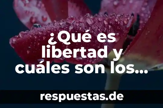 Qué es número de oxidación y cuáles son sus reglas 5 ¿Qué es libertad y cuáles son los valores éticos?