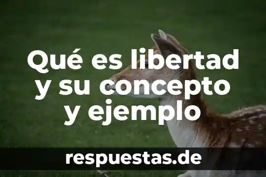 Que es un caligrama concepto y ejemplo 7 Qué es libertad y su concepto y ejemplo