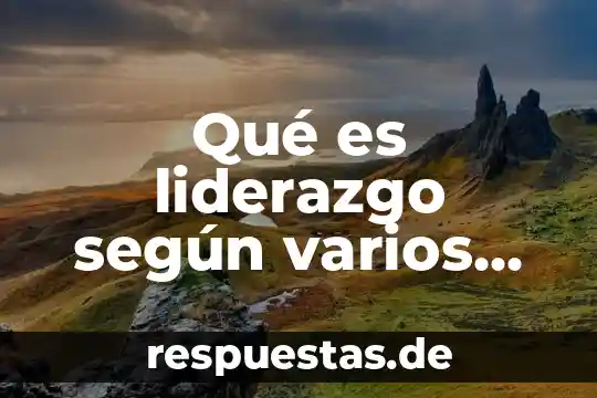 Qué es auditoria administrativa según varios autores 5 Qué es liderazgo según varios autores