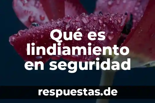 Qué es lindiamiento en seguridad