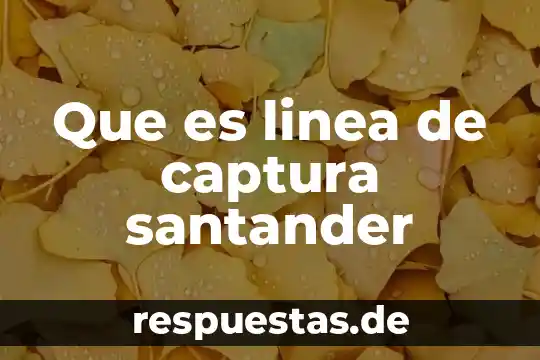 Que es la linea del tiempo de la historia 4 Que es linea de captura santander