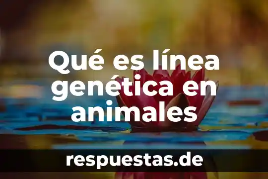 9P en genética que es 7 Qué es línea genética en animales