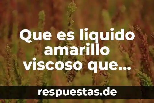 Que es una gallina donde sale eel huevo 3 Que es liquido amarillo viscoso que sale de la vagina