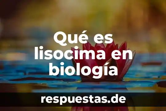 Qué es lisocima en biología