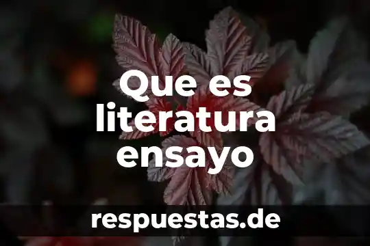 Que es literatura ensayo