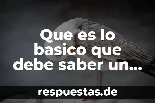 Concepto claro y basico de lo que es el suicidio 6 Que es lo basico que debe saber un ingeniero biotecnologo