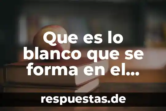 Que es bueno para ir al baño 4 Que es lo blanco que se forma en el baño