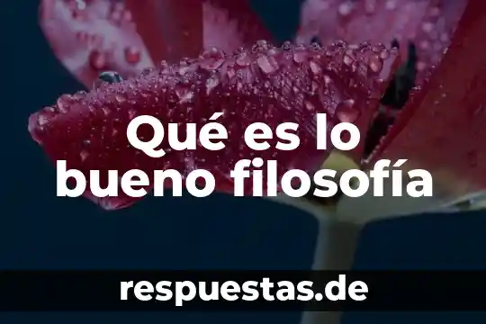 Qué es el silencio en filosofía 8 Qué es lo bueno filosofía
