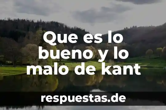 Según Kant que es una paradoja 8 Que es lo bueno y lo malo de kant
