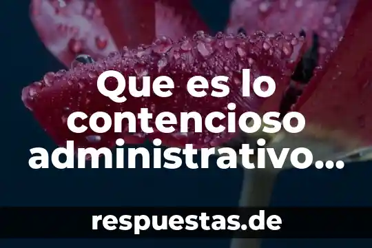 Qué es la impugnación contencioso administrativo 4 Que es lo contencioso administrativo en colombia