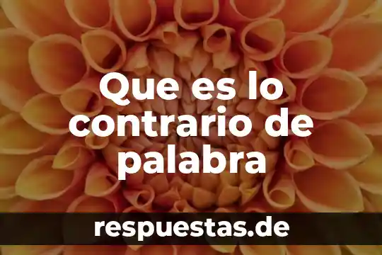 Que es lo contrario de palabra
