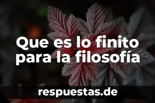 Que es lo finito para la filosofía