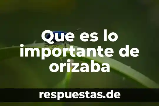 Por que es importante votar a conciencia 6 Que es lo importante de orizaba