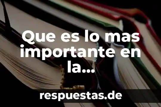 Qué es lo más interesante el ser médico veterinario 4 Que es lo mas importante en la administración