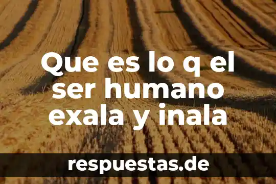Que es lo q el ser humano exala y inala